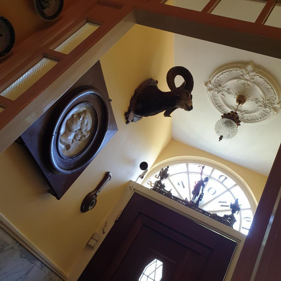 Deventer Heritage En Boutique B&B Museumhuis Huize "De Worp" Eksteriør billede