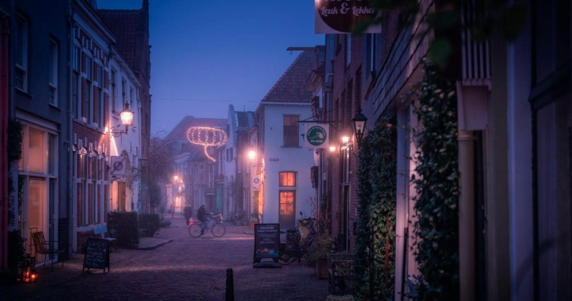 Deventer Heritage En Boutique B&B Museumhuis Huize "De Worp" Eksteriør billede